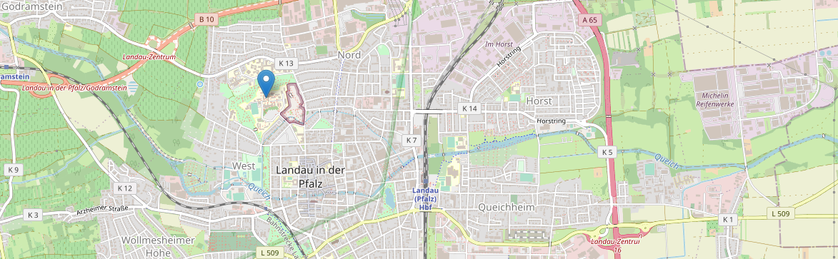 Screenshot einer Open Street Map Karte von Landau mit der Uni markiert